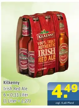 Getränke Arena Kilkenny irish red ale Angebot