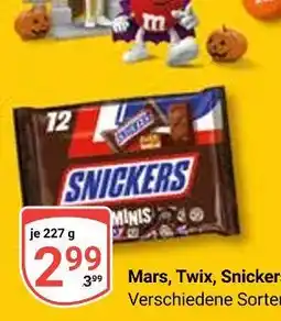 Globus Mars Angebot