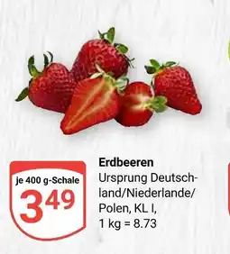 Globus Erdbeeren Angebot