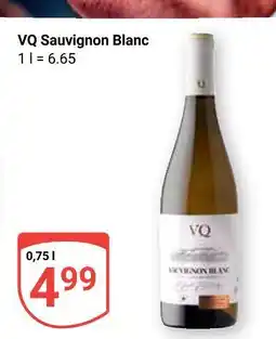 Globus Vq sauvignon blanc Angebot