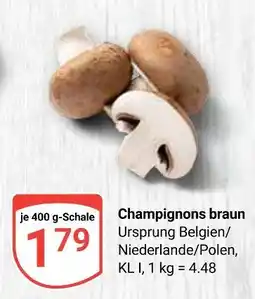 Globus Champignons braun Angebot