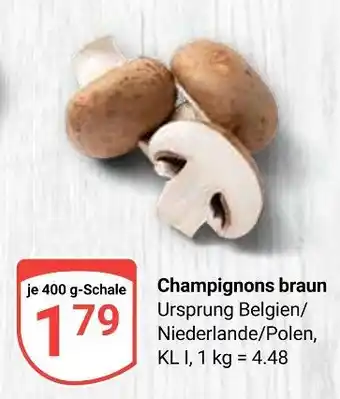 Globus Champignons braun Angebot