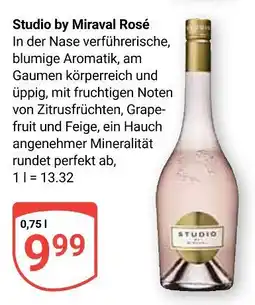 Globus Studio by miraval rosé Angebot