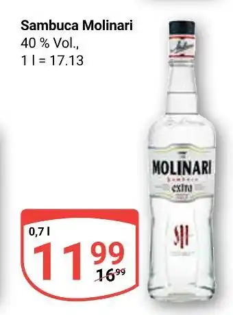 Globus Molinari sambuca Angebot