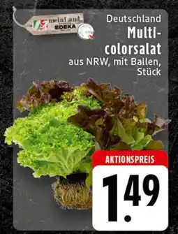 E-Center Multicolorsalat Angebot