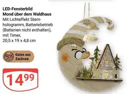 Globus Led-fensterbild mond über dem waldhaus Angebot