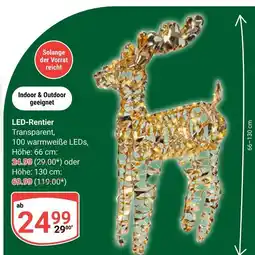 Globus Led-rentier Angebot