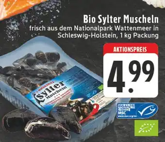 E-Center Bio sylter muscheln Angebot