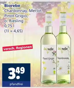 Getränkewelt Biorebe chardonnay Angebot