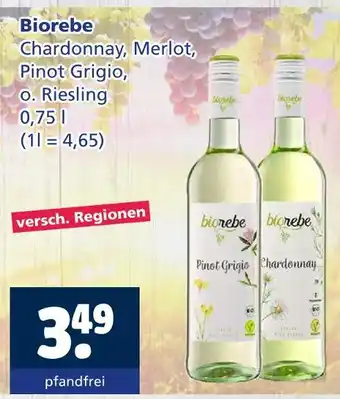 Getränkewelt Biorebe chardonnay Angebot