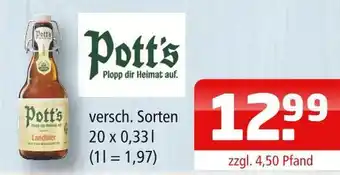 Getränke Oase Pott's landbier Angebot