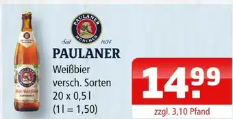 Getränke Oase Paulaner weißbier Angebot
