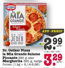 E-Center Dr. oetker la mia grande salame piccante Angebot
