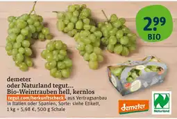 tegut Demeter bio-weintrauben hell, kernlos Angebot
