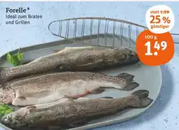 tegut Forelle Angebot