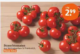 tegut Strauchtomaten Angebot