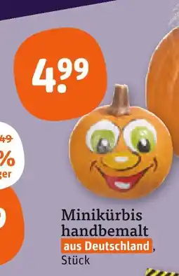 tegut Minikürbis handbemalt Angebot