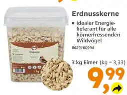 Globus Baumarkt Erdnusskerne Angebot