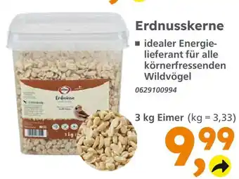 Globus Baumarkt Erdnusskerne Angebot