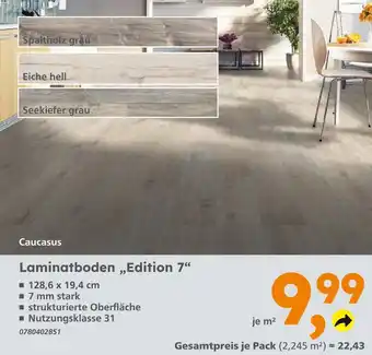 Globus Baumarkt Spaltholz grau Angebot