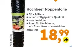 Globus Baumarkt Hochbeet noppenfolie Angebot