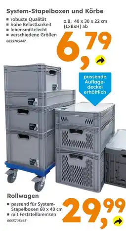 Globus Baumarkt System-stapelboxen und körbe Angebot