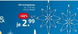 ROLLER Led-schneeflocke Angebot