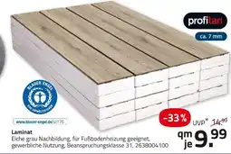 ROLLER Profitan laminat Angebot