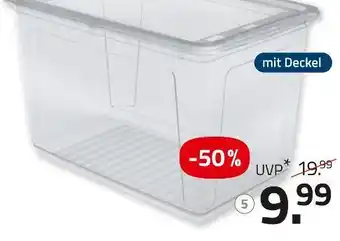 ROLLER Xxl-aufbewahrungsbox Angebot