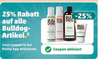 PENNY Bulldog 25% rabatt Angebot