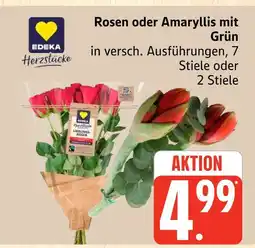 Marktkauf Edeka herzstücke rosen mit grün Angebot