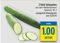 diska Salatgurken Angebot