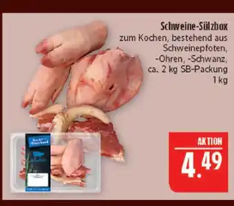 Marktkauf Schweine-sülzbox Angebot