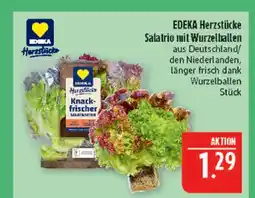 Marktkauf Edeka herzstücke salatrio mit wurzelballen Angebot