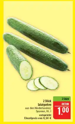 Marktkauf Salatgurken Angebot