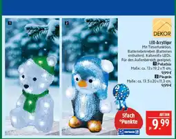 Marktkauf Polarbär Angebot
