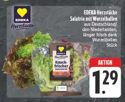 Edeka Edeka herzstücke salatrio mit wurzelballen Angebot