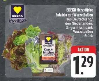 Edeka Edeka herzstücke salatrio mit wurzelballen Angebot