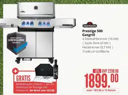 Hirsch und Ille Napoleon prestige 500 gasgrill Angebot