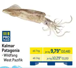 METRO Kalmar Patagonia Angebot