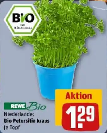 REWE Bio Petersilie kraus Angebot