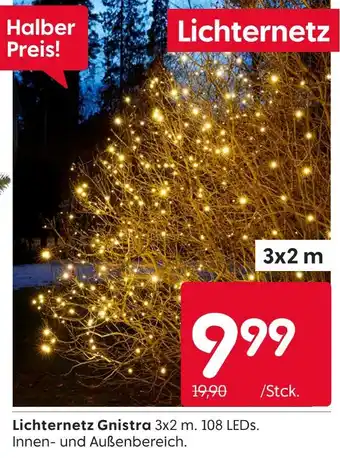 Rusta Lichternetz gnistra Angebot