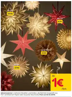 Rusta Adventsstern Angebot