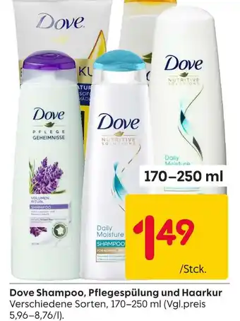Rusta Dove shampoo, pflegespülung und haarkur Angebot