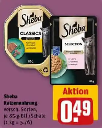 REWE Sheba Katzennahrung Angebot