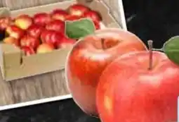 HIT Deutschland Tafeläpfel Angebot