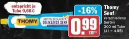HIT Thomy Senf Angebot