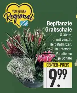 E-Center Bepflanzte Grabschale Angebot