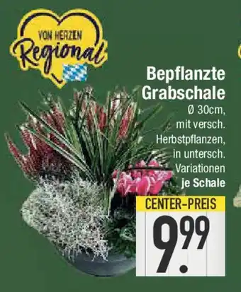 E-Center Bepflanzte Grabschale Angebot