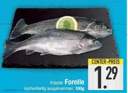 E-Center Frische Forelle Angebot
